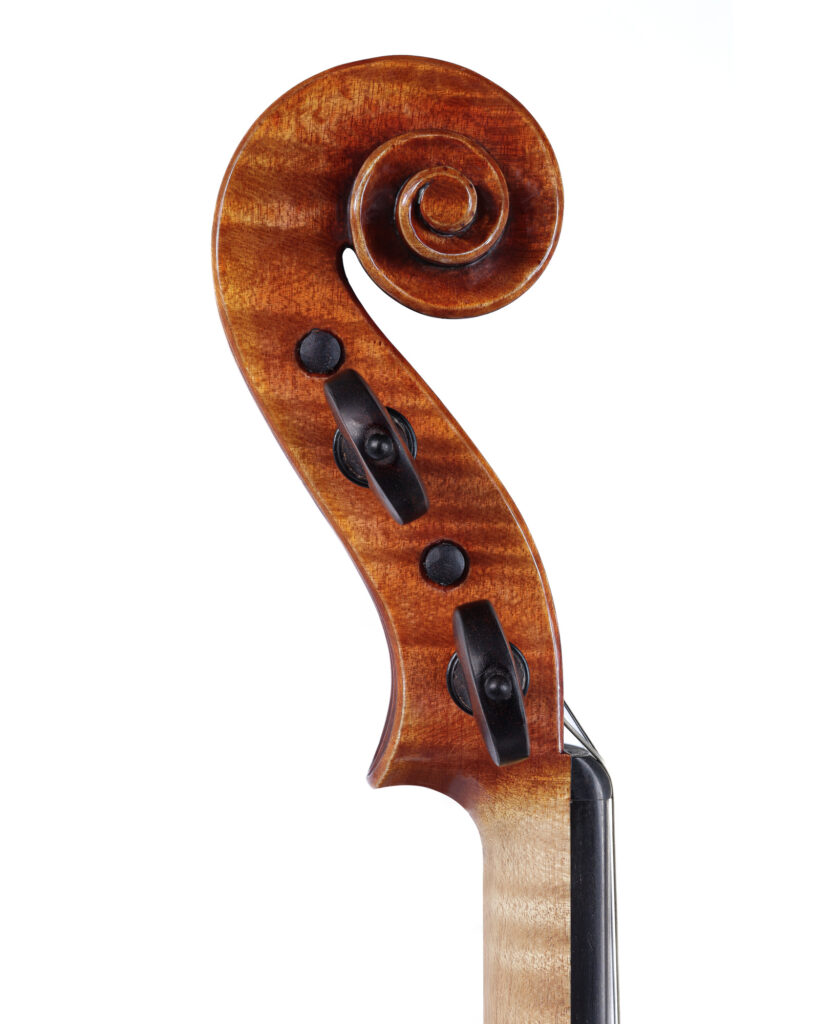 "Coyote of the Mountain" violin, scroll