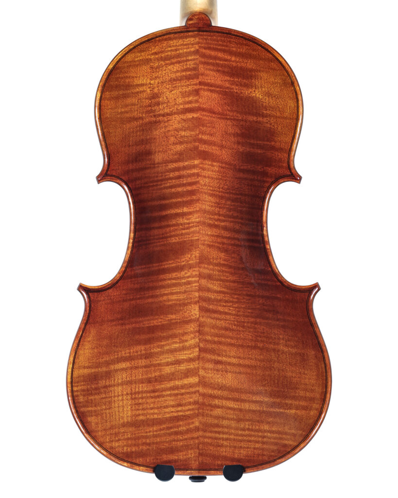 "Coyote of the Mountain" violin, back